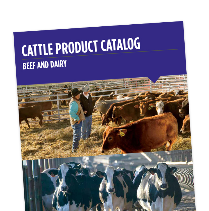 Cattle Zoetis Channel Edge