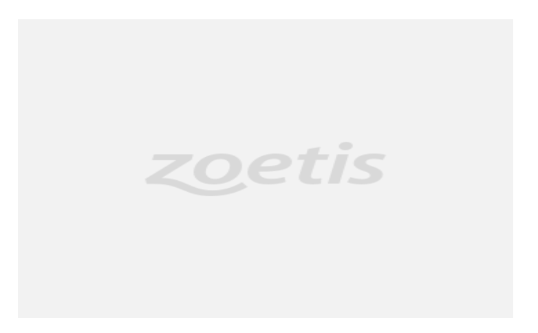 zoetis