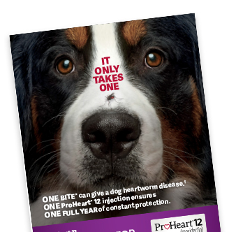Proheart injection for dogs clearance