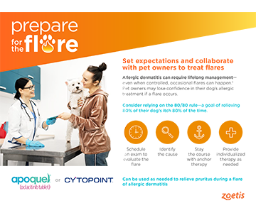 Apoquel and Cytopoint Detailer Prepare for the Flare Zoetis Channel Edge